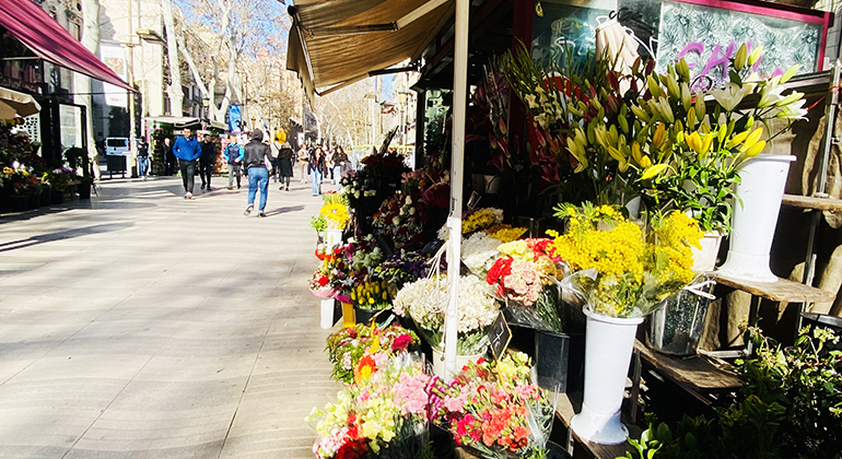 bucket-list-experience-in-barcelona-en-3