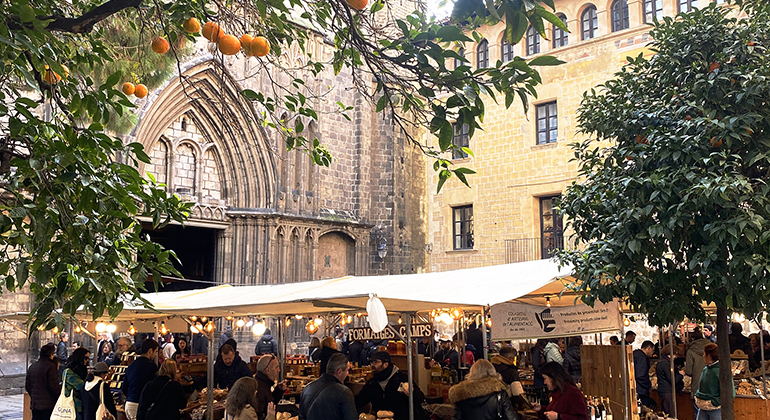 bucket-list-experience-in-barcelona-en-2