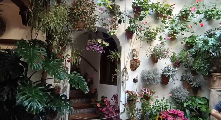 descubre-los-patios-tradiciones-de-san-lorenzo-en-1