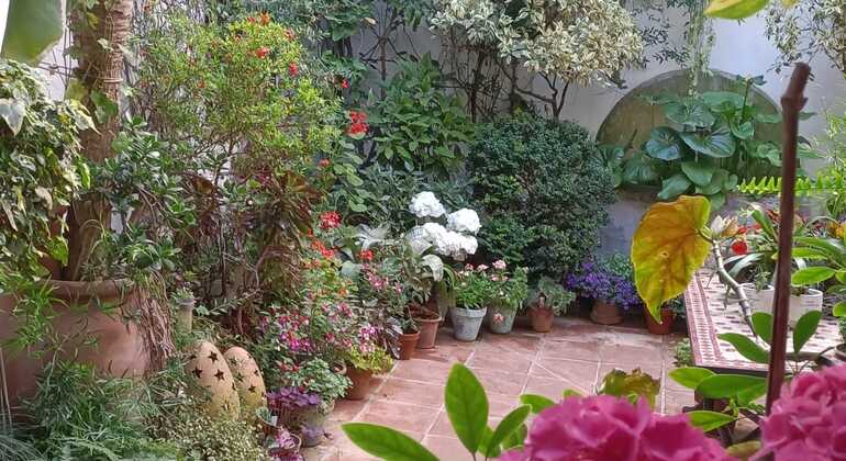 descubre-los-patios-tradiciones-de-san-lorenzo-en-4