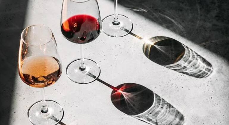 Albanian Wine Tasting Experience Albania — #2