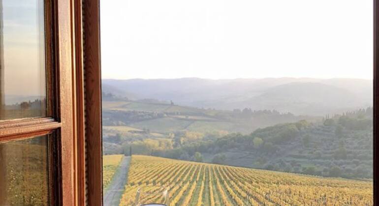 Albanian Wine Tasting Experience Albania — #3