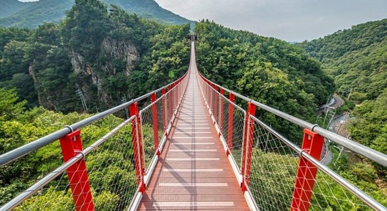 Aventura na DMZ e na ponte suspensa Coreia do Sul — #10