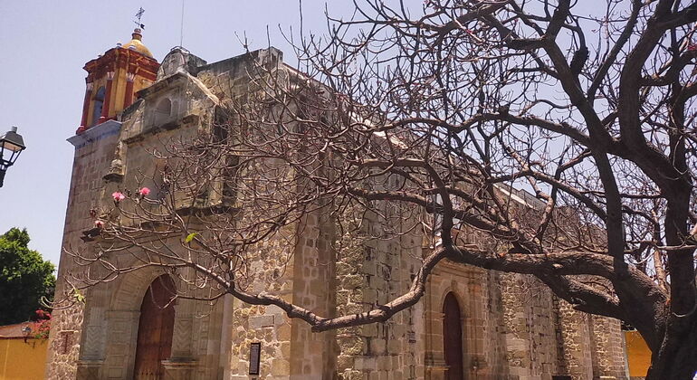 Recorrido gratuito: Murales y Artes de Oaxaca