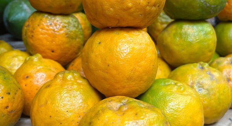 Sonnenuntergangssuchende: Die Dämmerungstour von Stone Town Tansania — #19