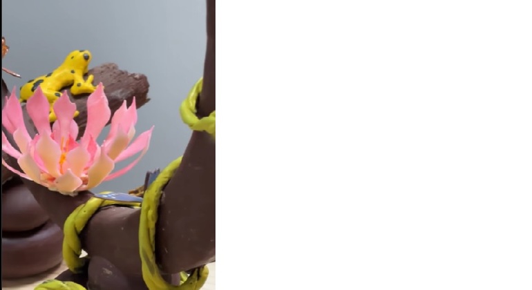 Excursão Choco Geisha Panamá Panamá — #2