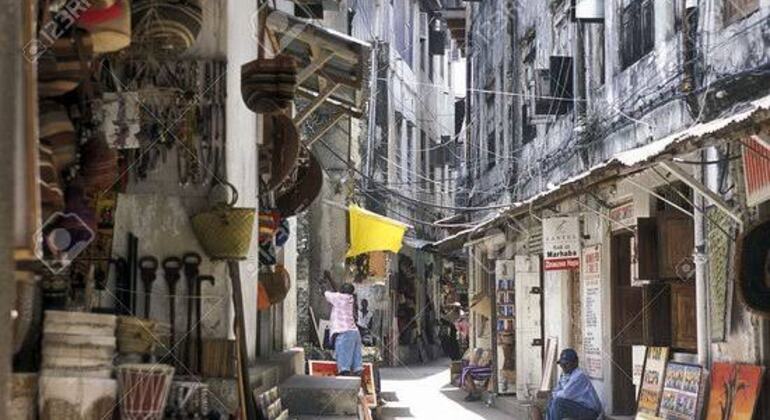 L'histoire, la culture et les tortues géantes de Stone Town Tanzanie — #5