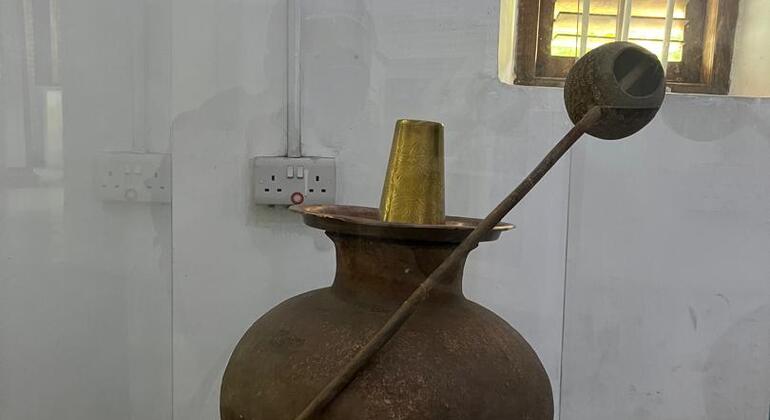 L'histoire, la culture et les tortues géantes de Stone Town Tanzanie — #14