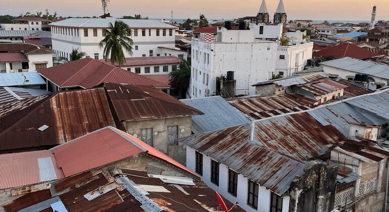 L'histoire, la culture et les tortues géantes de Stone Town Tanzanie — #15