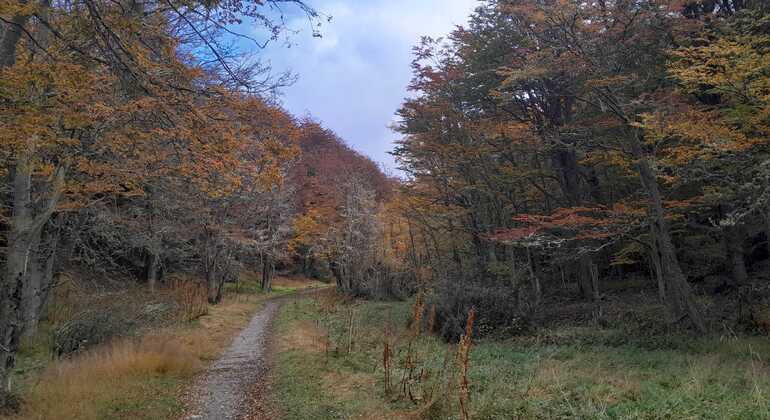 camino-historico-de-los-presos-en-ushuaia-es-11