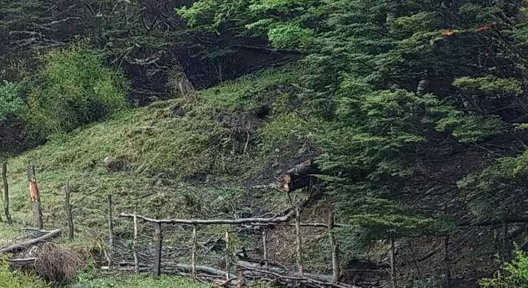 camino-historico-de-los-presos-en-ushuaia-es-12