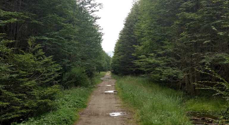 camino-historico-de-los-presos-en-ushuaia-es-13