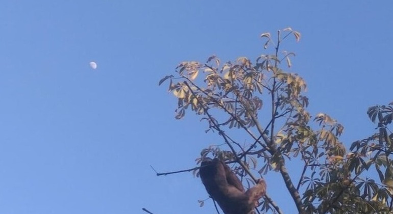 Essential Cartagena: Free Tour of Getsemaní Colombia — #8