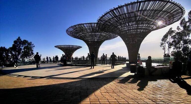 Excursão turística de dia inteiro a Adis Abeba Organizado por Njs Tour and Travel 