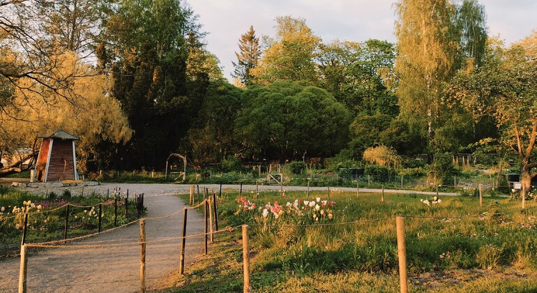 sisu-from-empire-to-equality-free-tour-en-5