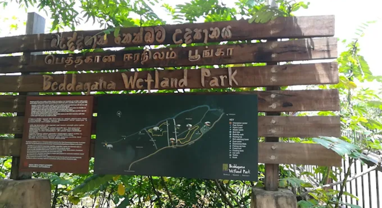 Paseo por la Naturaleza de los Humedales Urbanos, Sri Lanka