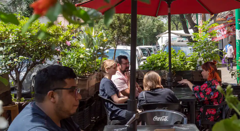 lgbtq-walking-tour-of-mexico-city-for-all-identities-es-24