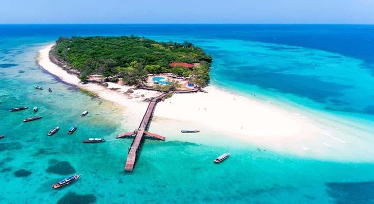 Erkunden Sie die Gefängnisinsel und die Nakupenda Sandbank in Sansibar Tansania — #8