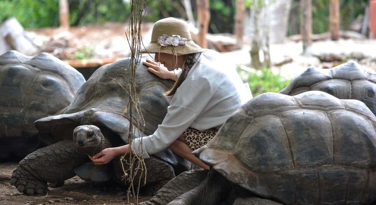Erkunden Sie die Gefängnisinsel und die Nakupenda Sandbank in Sansibar Tansania — #9