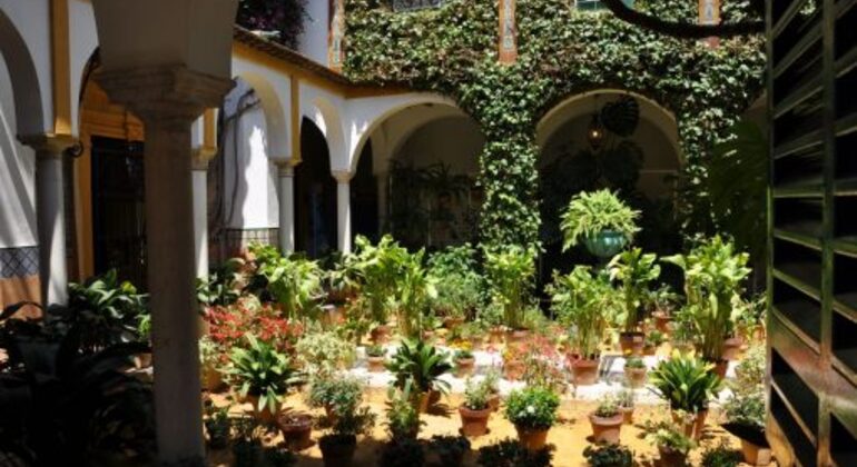 2 Horas de Paseo Panorámico por Sevilla España — #2