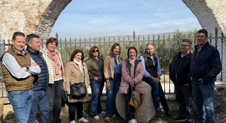 Rota da Oliveira: Museu e Workshop de Prova de Azeite Espanha — #9