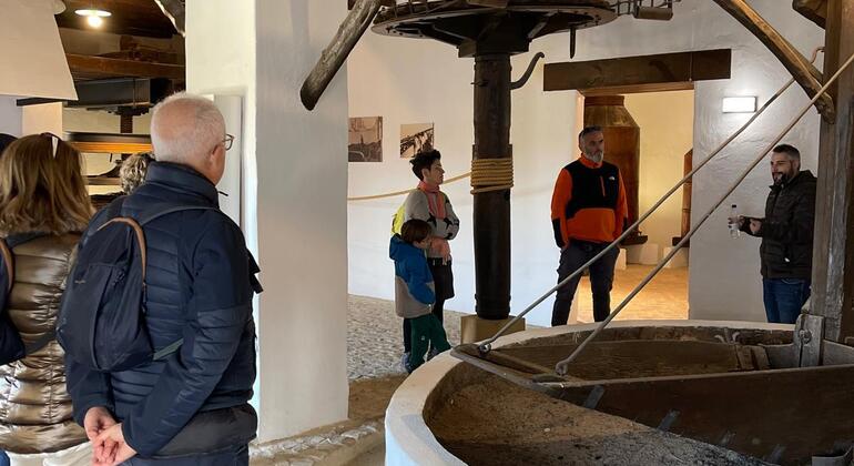 Rota da Oliveira: Museu e Workshop de Prova de Azeite Espanha — #11