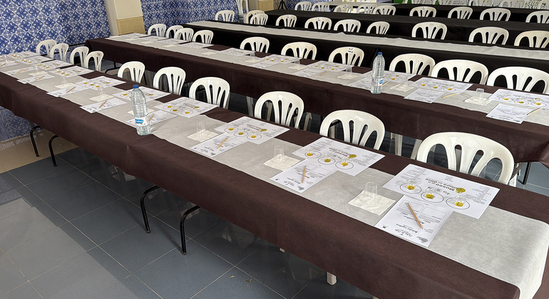 Rota da Oliveira: Museu e Workshop de Prova de Azeite Espanha — #12