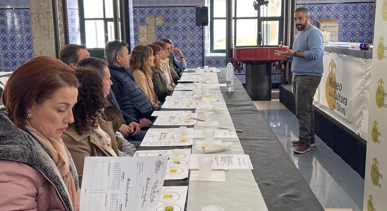 Rota da Oliveira: Museu e Workshop de Prova de Azeite Espanha — #13