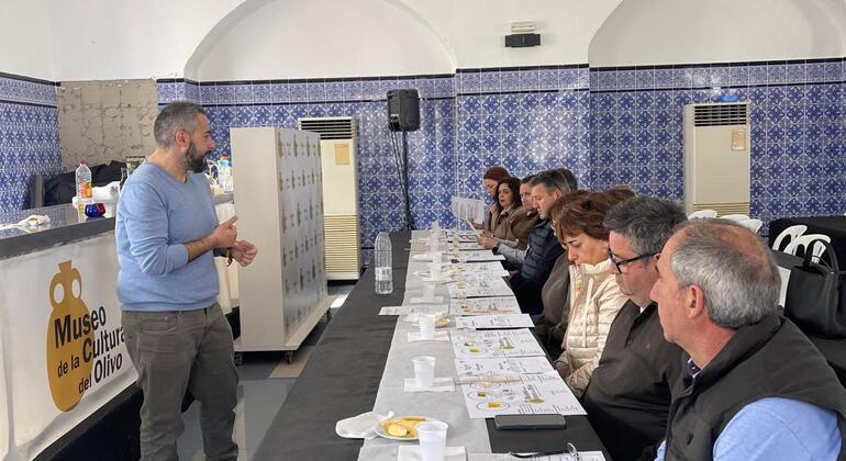 Rota da Oliveira: Museu e Workshop de Prova de Azeite Espanha — #14