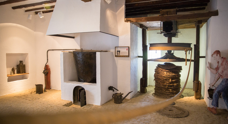 Rota da Oliveira: Museu e Workshop de Prova de Azeite Espanha — #15