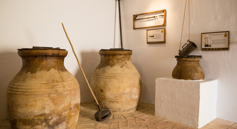 Rota da Oliveira: Museu e Workshop de Prova de Azeite Espanha — #16