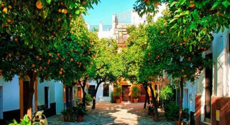 visita panorâmica a pé de 4 horas a Sevilha Organizado por Not Just a Tourist