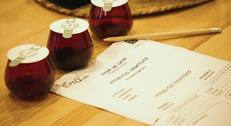 Discover the Secrets of Olive Oil Spain — #7