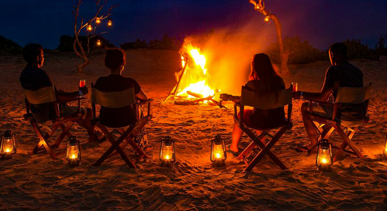 Camping de nuit et surf à Elephant Rock