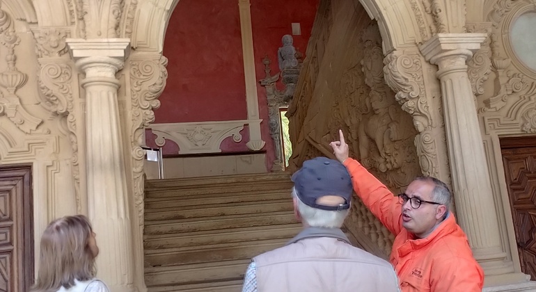 Explora Baeza: Visita Privada con Acceso Exclusivo España — #18