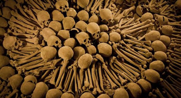 Grand Free Tour Lima: History, Economy & Society Peru &mdash; #7