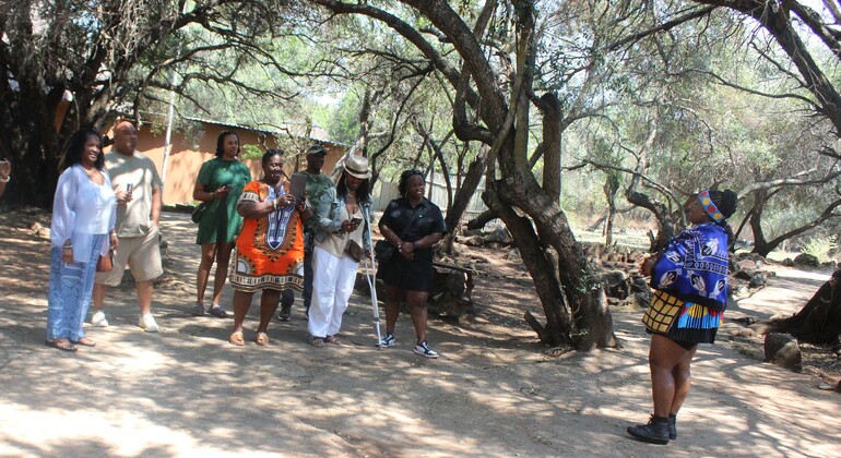 Excursión privada a la aldea cultural de Lesedi desde Johannesburgo Sudáfrica — #2