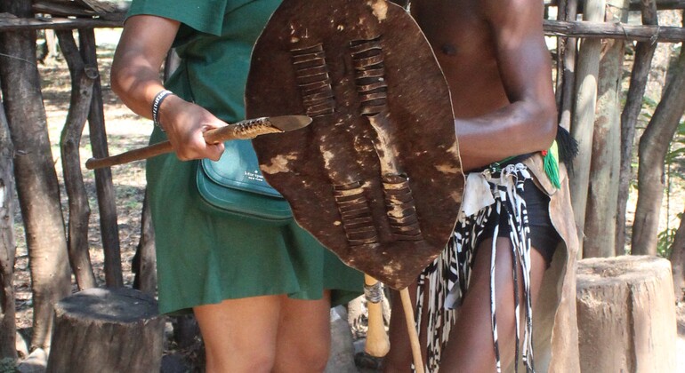 Tour privato del villaggio culturale di Lesedi da Johannesburg Fornito da Trek Jozi