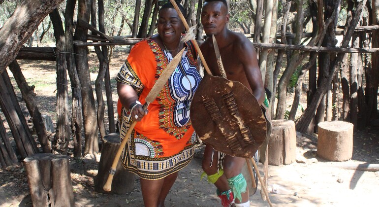 Excursión privada a la aldea cultural de Lesedi desde Johannesburgo Sudáfrica — #8