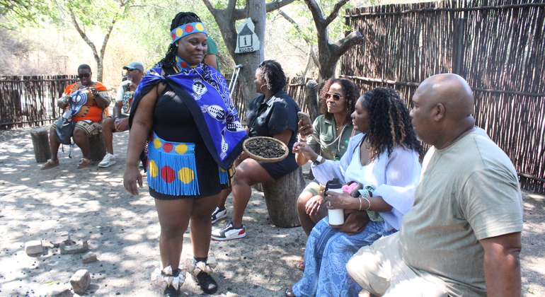 Excursión privada a la aldea cultural de Lesedi desde Johannesburgo Sudáfrica — #12