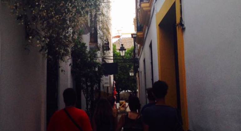 Passeio pedestre ao pôr-do-sol nos telhados de Sevilha Espanha — #5