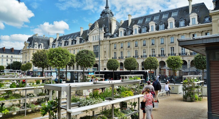 free-tour-por-rennes-es-12