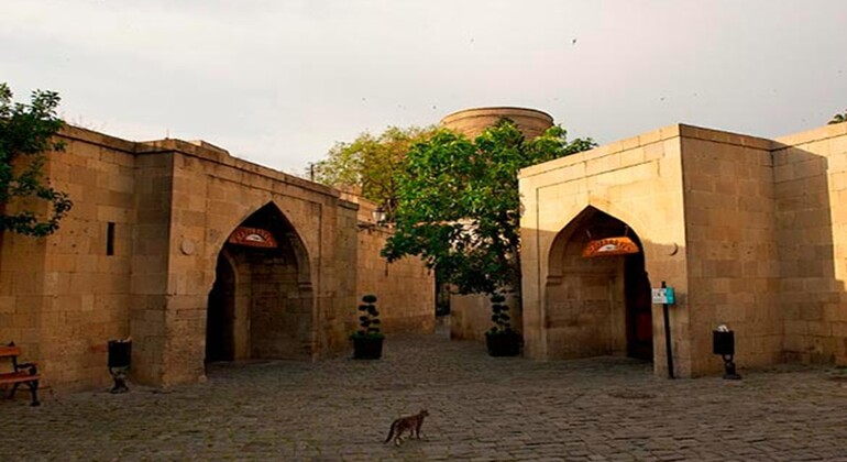 Visita gratuita a los principales lugares de interés de la Bakú antigua y moderna Azerbaiyán — #14