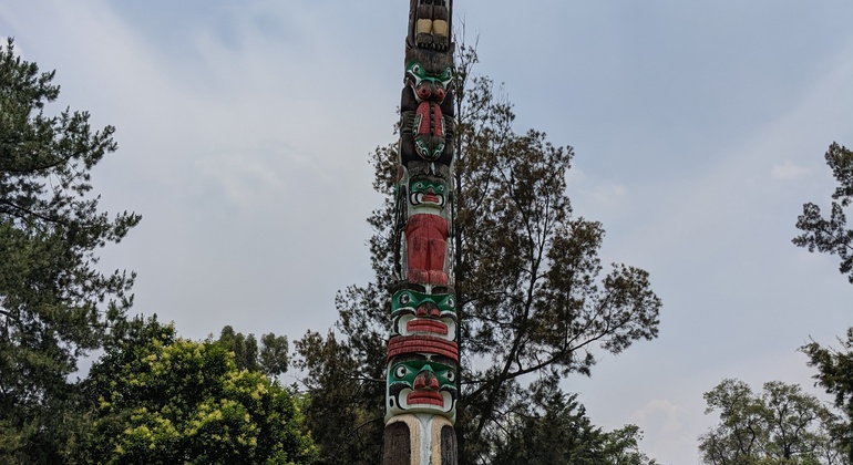chapultepec-cablebus-nature-history-aerial-views-es-5