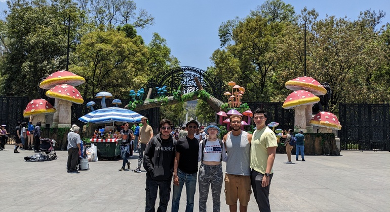 chapultepec-cablebus-nature-history-aerial-views-es-17