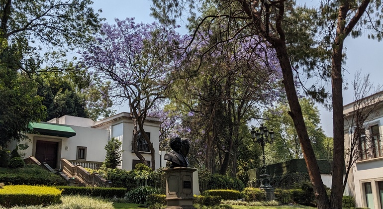 chapultepec-cablebus-nature-history-aerial-views-es-21