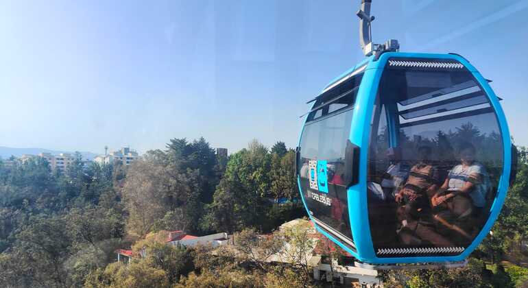 chapultepec-cablebus-nature-history-aerial-views-es-30