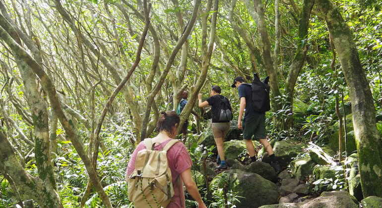 Entdecken Sie das Paradise Valley: Das verborgene Juwel der Natur Marokko — #6