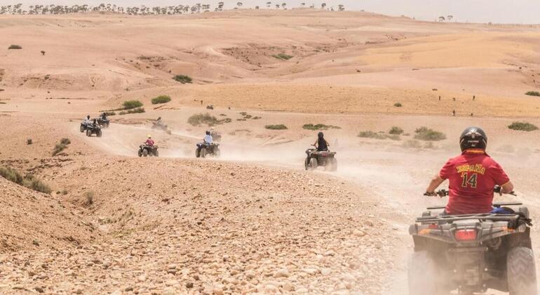 Safari en Quad por Agadir: Cabras, Arboles y té Bereber Marruecos — #2