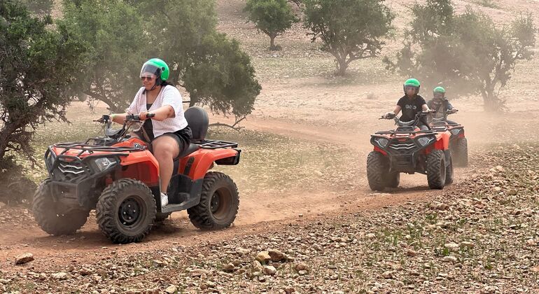 Agadir: ATV Quad Biking and Goats On Argan Trees Morocco — #3